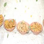 Vraj-Yatra-2014- (1035)